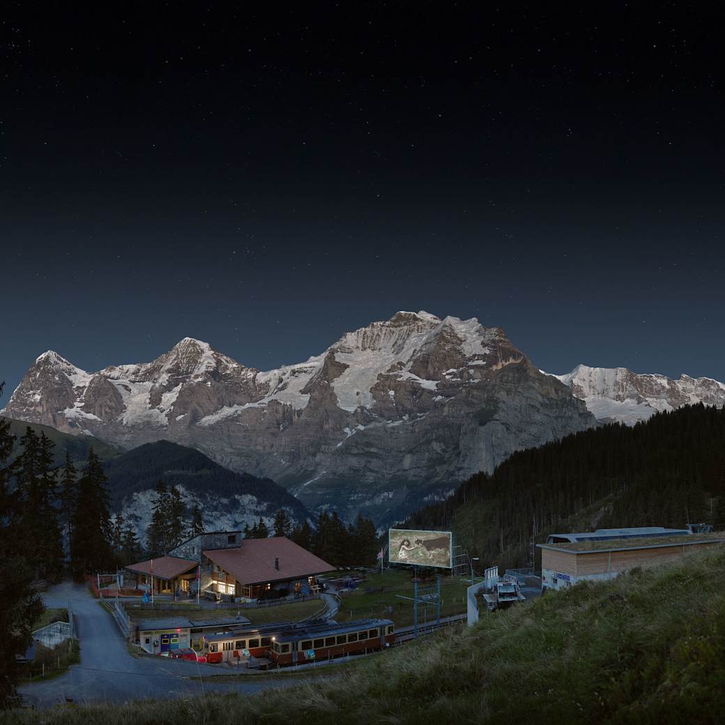 Movie Nights Winteregg