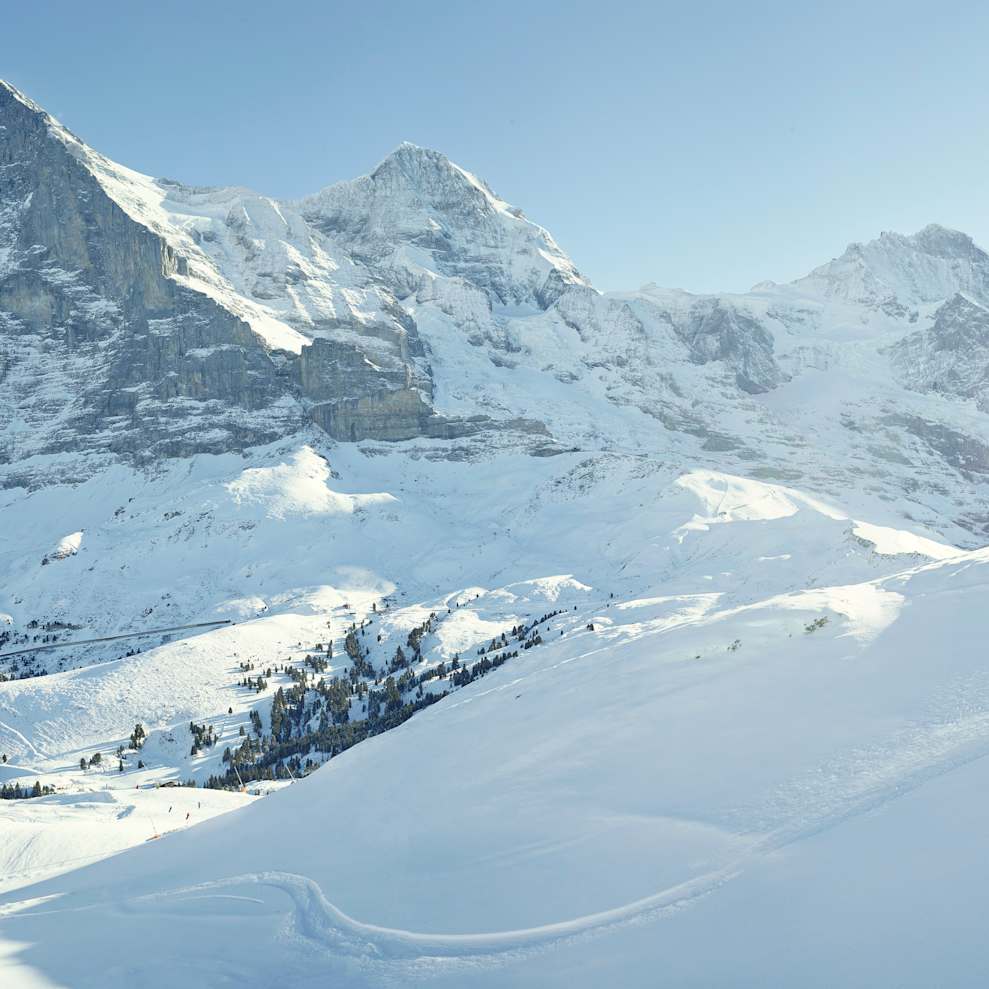 Bilddatenbank, Bilddatenbank-Eiger-Moench-Jungfrau, Bilddatenbank-Grindelwald-Wengen, Bilddatenbank-Kleine-Scheidegg, Bilddatenbank-Natur, Bilddatenbank-Schnee, Bilddatenbank-Stichworte, Bilddatenbank-Themen, Bilddatenbank-Winter