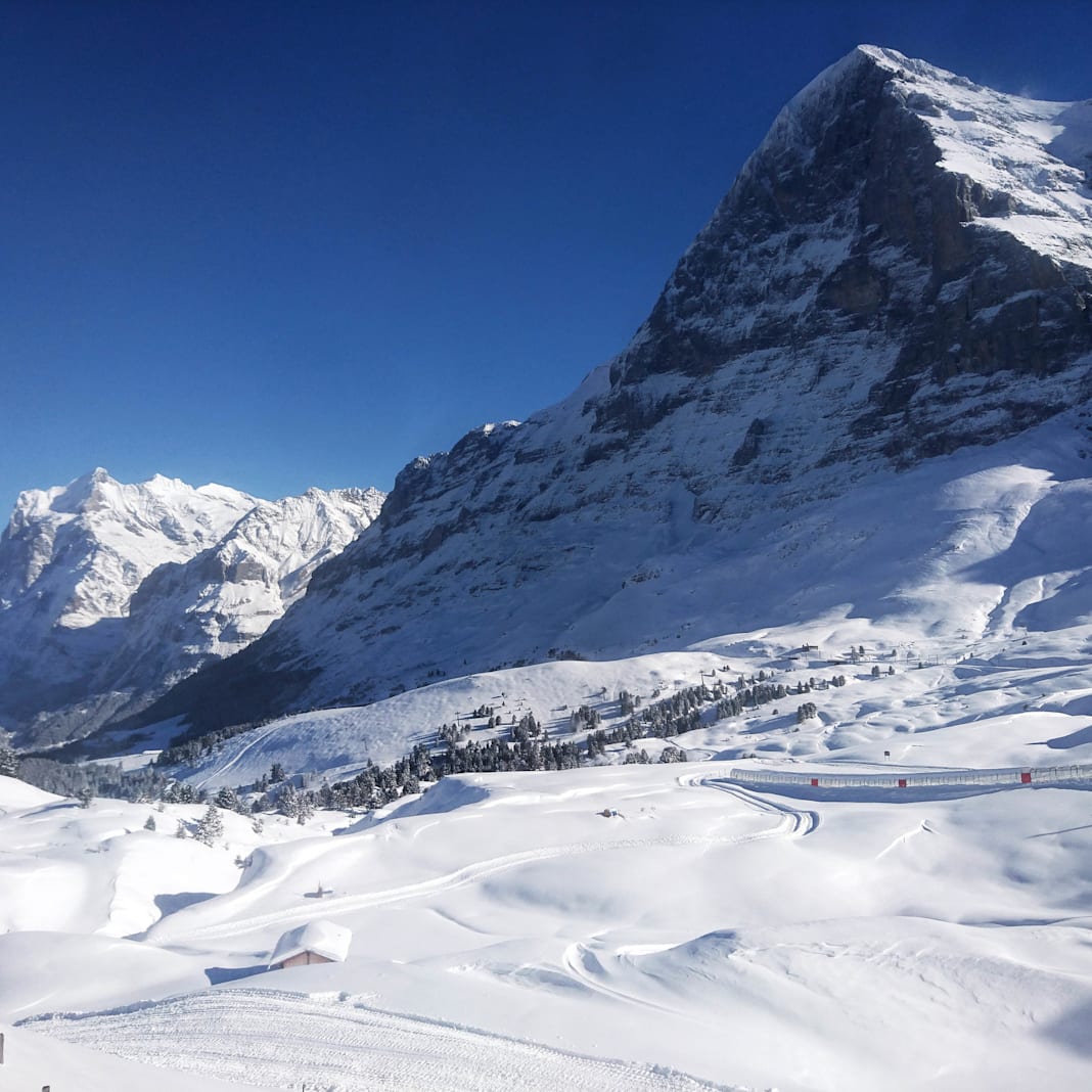 Winterbild Kleine Scheidegg