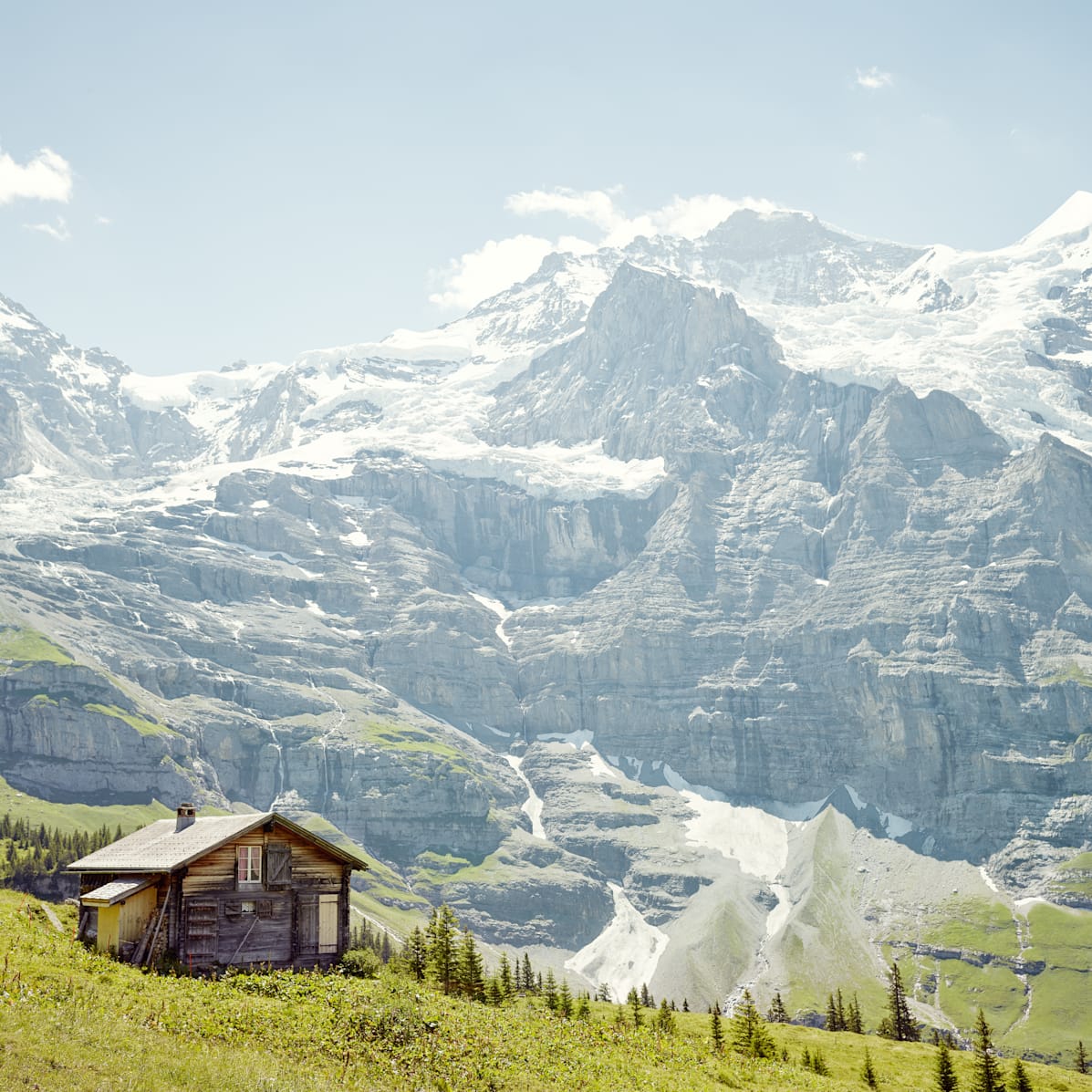 Kleine Scheidegg Alp Gletscher Jungfraujoch Sommer