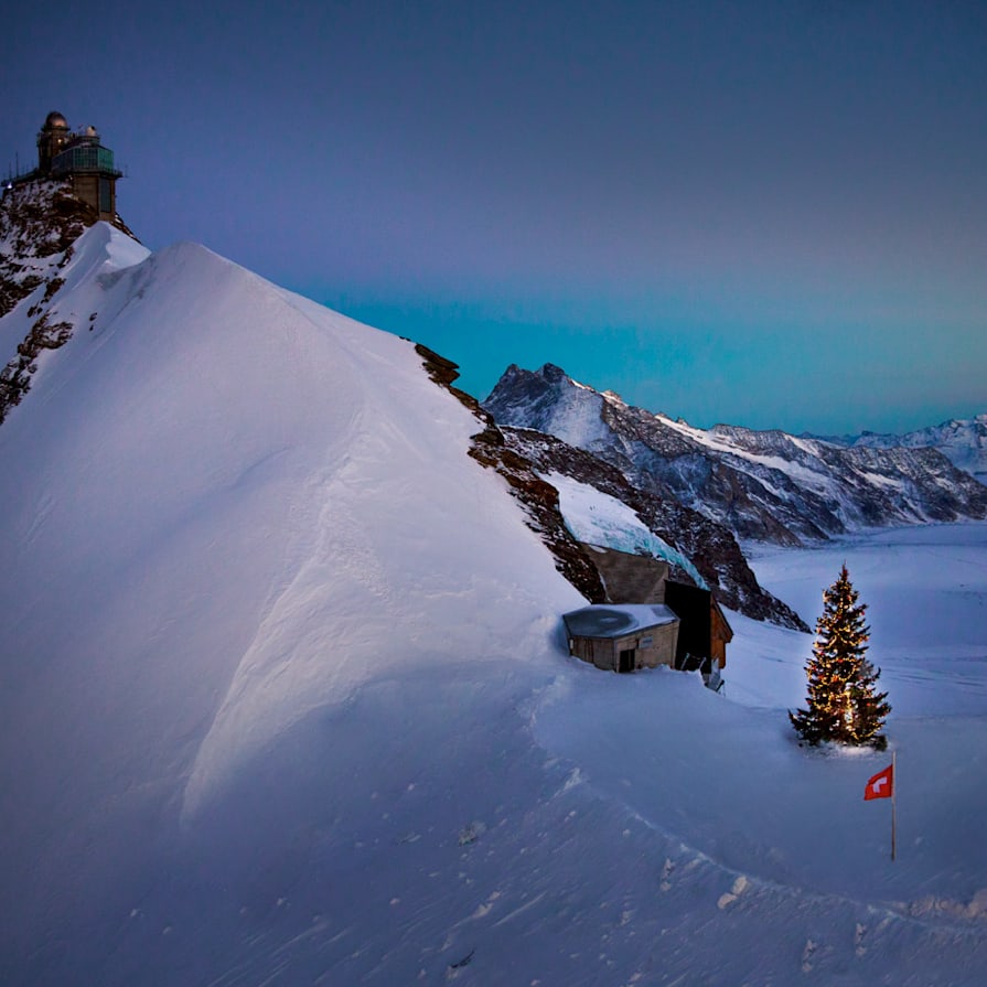 Bild Tannenbaum auf dem Jungfraujoch