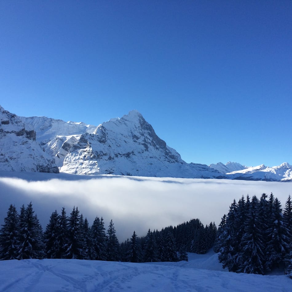Viel Neuschnee Bild Skigebiet Grindelwald First