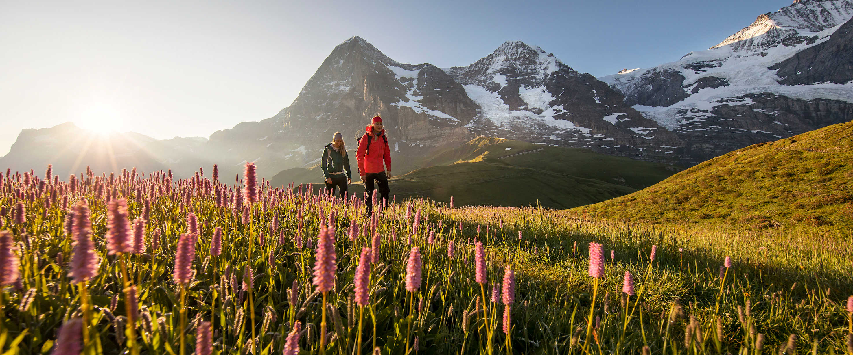 KS n 0325 Kleine Scheidegg