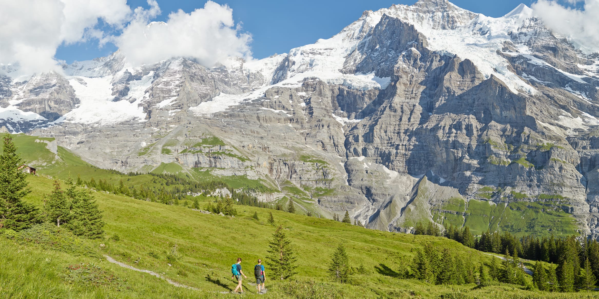Kleine Scheidegg Wandern Lauberhorn Trail Panorama Sommer