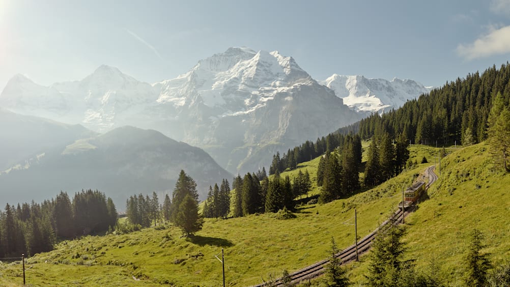 Winteregg Muerren Sommer Eiger Moench Jungfrau Panorama