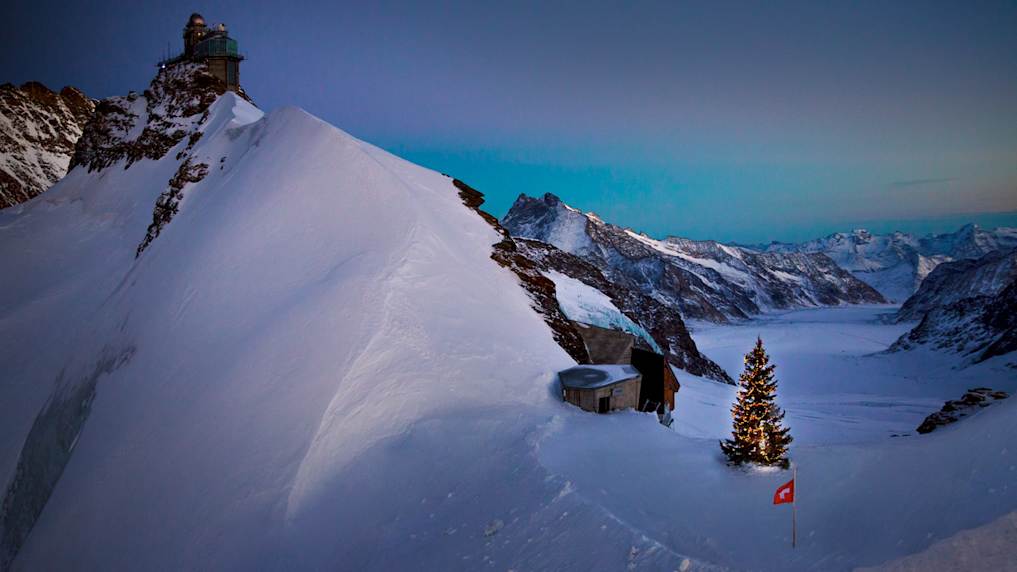 Bild Tannenbaum auf dem Jungfraujoch