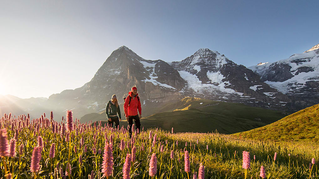 Kleine Scheidegg Wandern