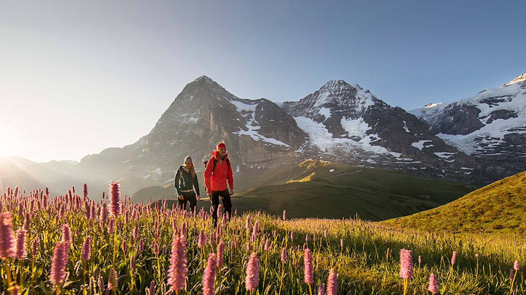 Kleine Scheidegg Wandern