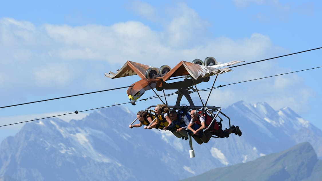 Glider hoch ueber Grindelwald