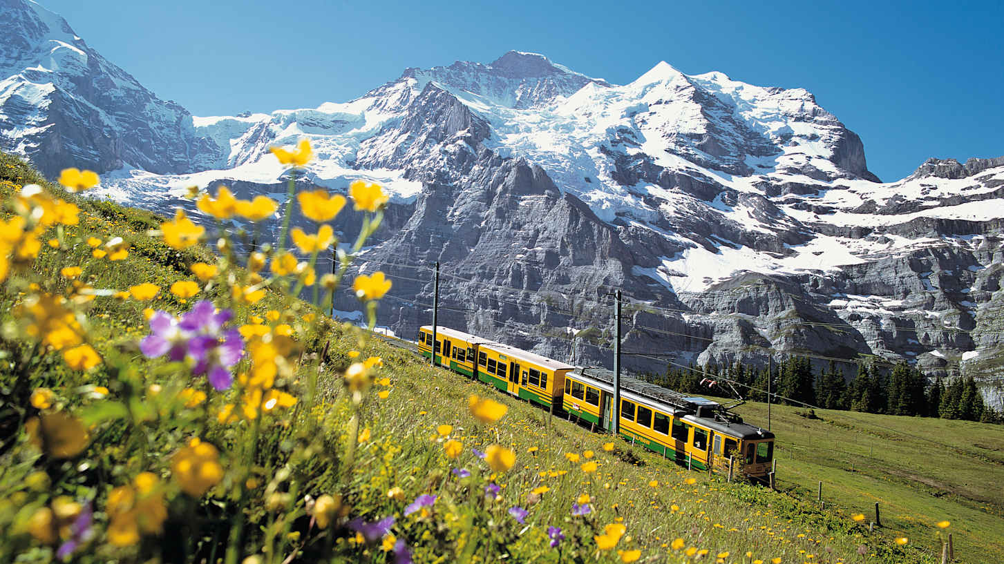 Jungfrau sommer wab 058 jungfrau