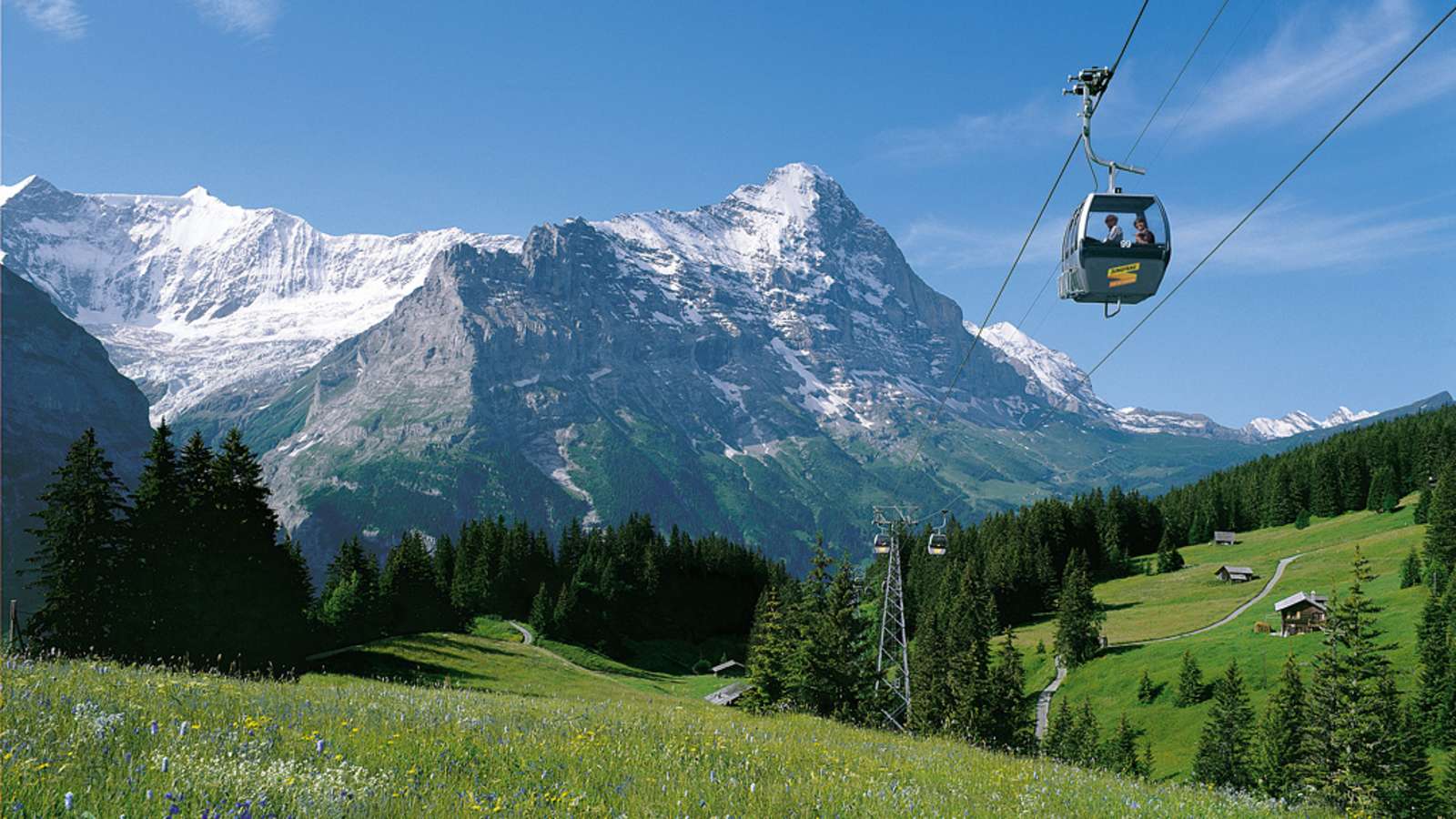 Gütertransport nach Grindelwald-First & Bort