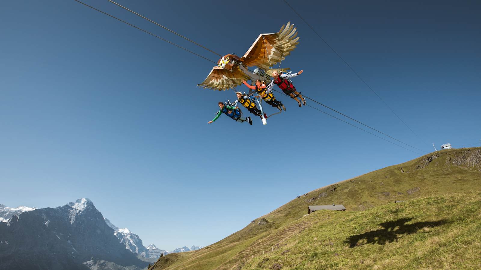 First Glider: Fliegen wie ein Adler