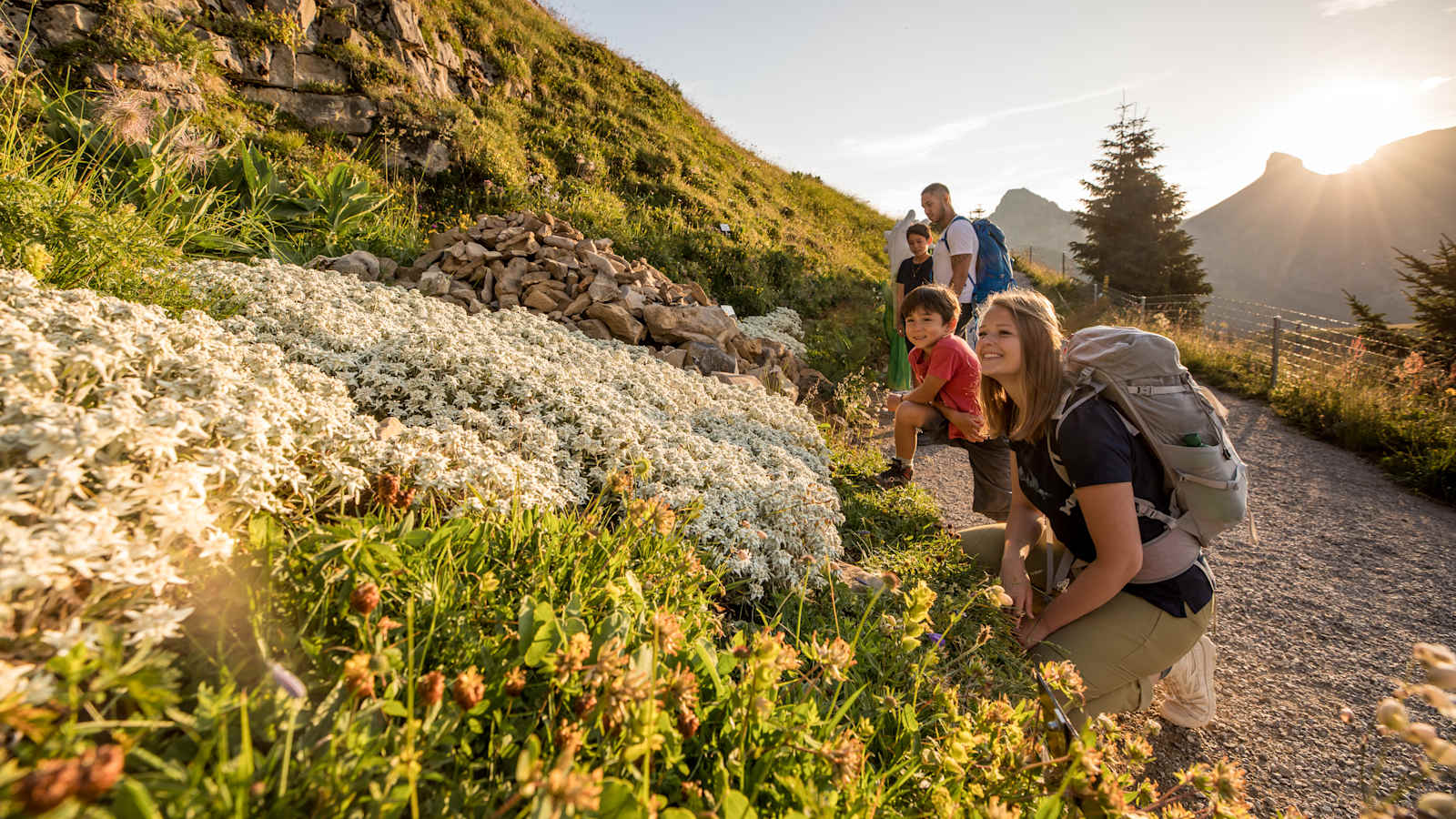 Swiss Flower & Panorama Trail