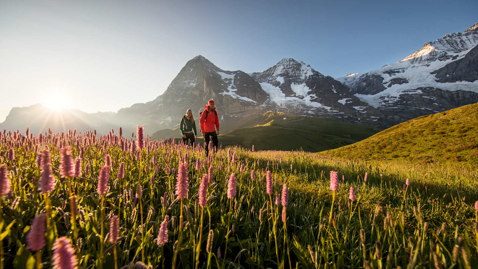 Kleine Scheidegg