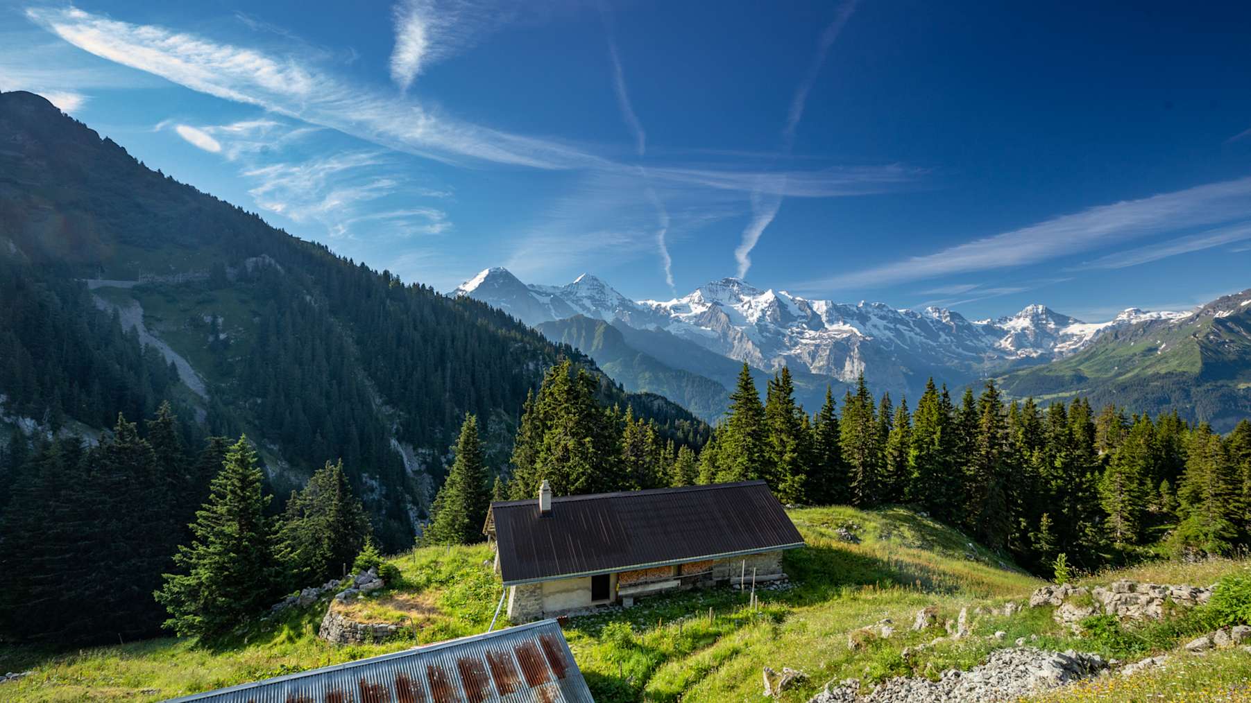 Erlebnisse-Aktivitaeten, Jahreszeit, Must See Tour, Schynige-Platte, Sommer, jungfrau.ch