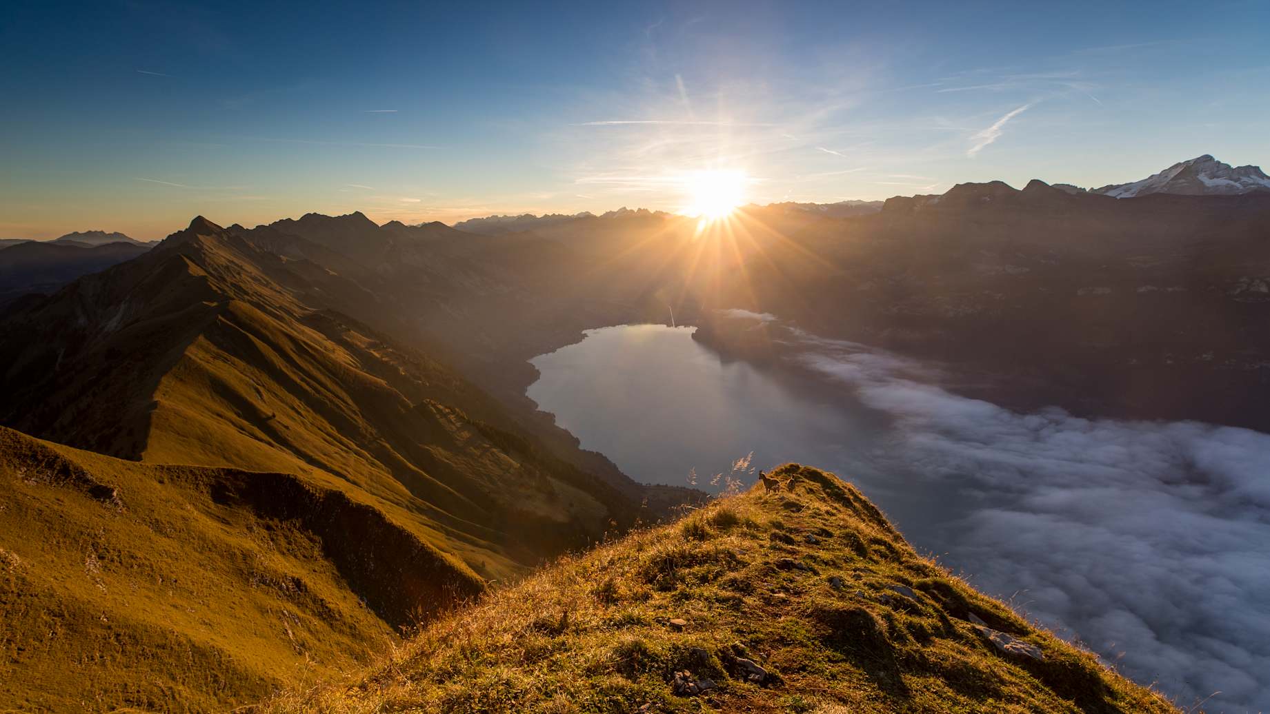 Erlebnisse-Aktivitaeten, Harder-Kulm, Jahreszeit, Must See Tour, Sommer, jungfrau.ch