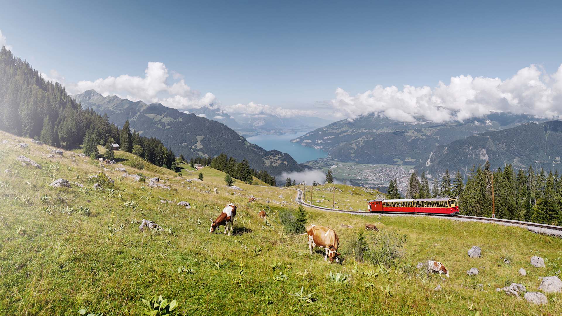 Concours Schynige Platte