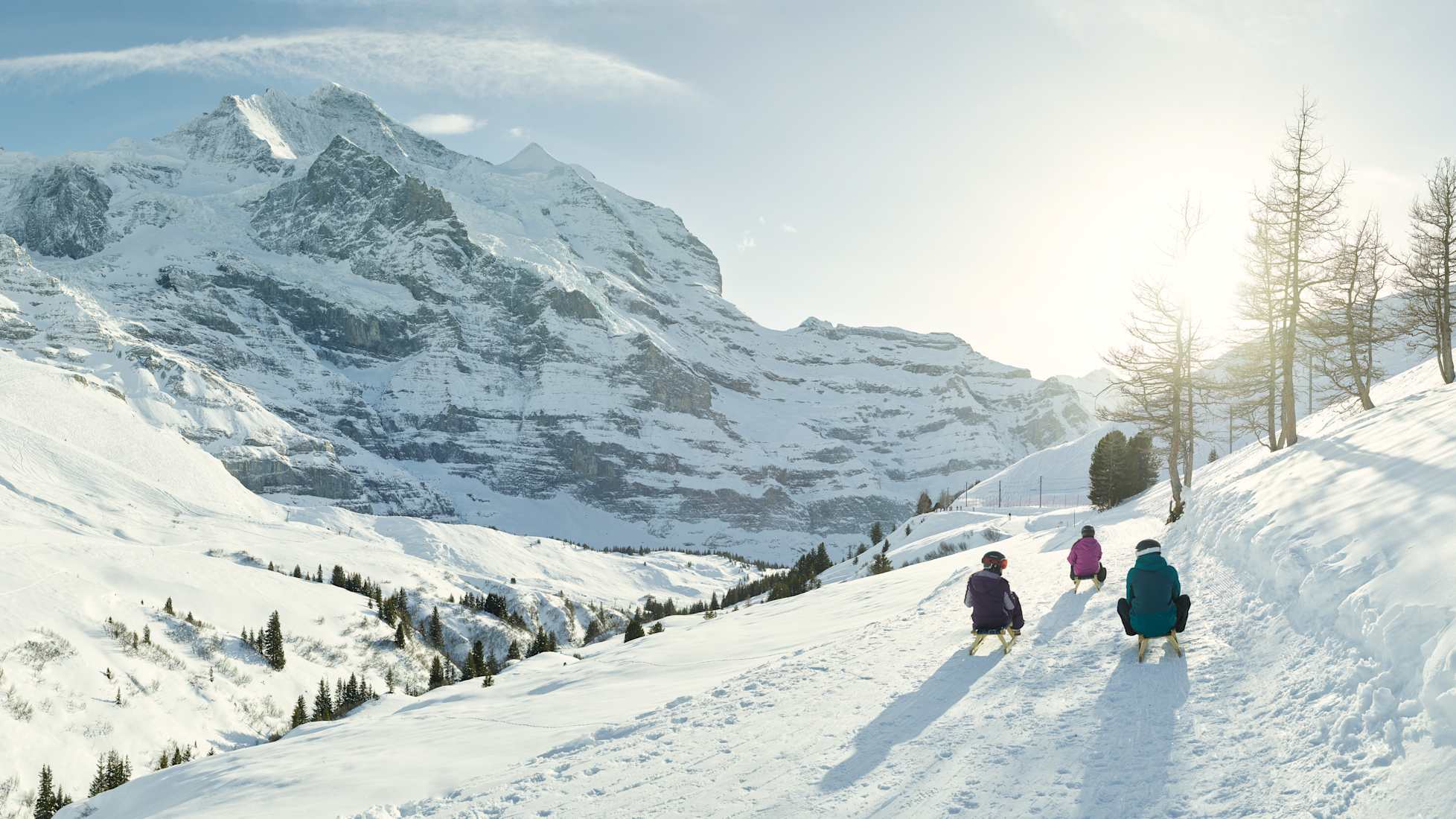 Winter sledging Bernese Oberland
