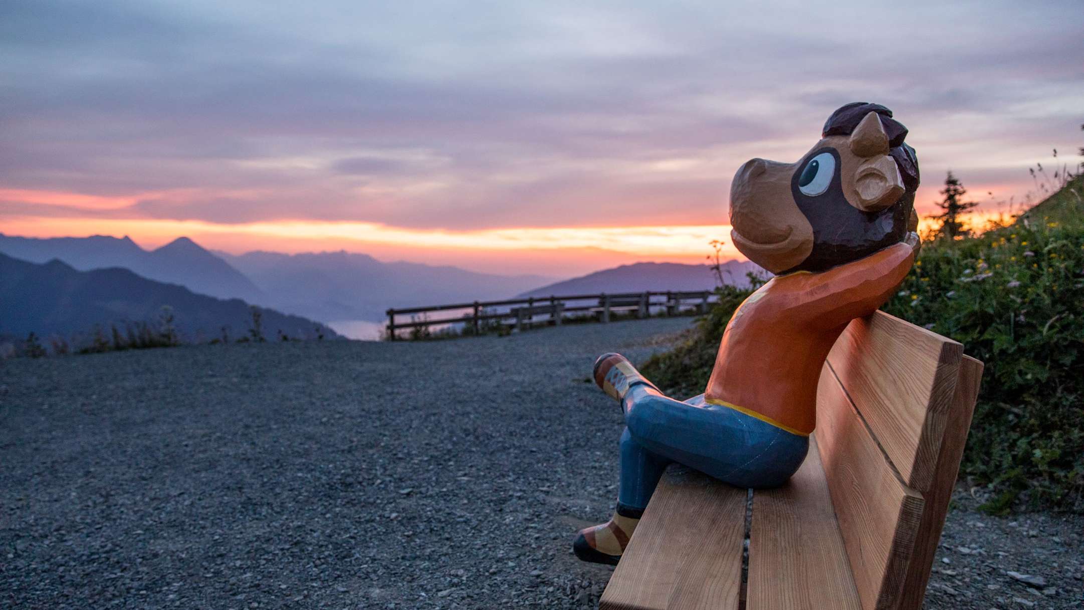 Schynige Platte Kuh Lily Sonnenuntergang kl