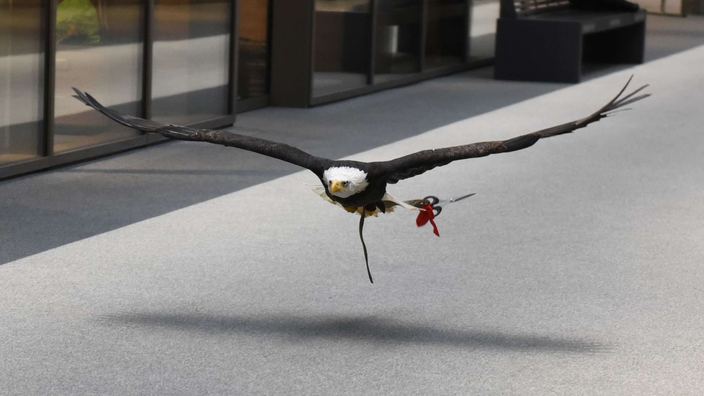 Sherkan mit Schere 2 