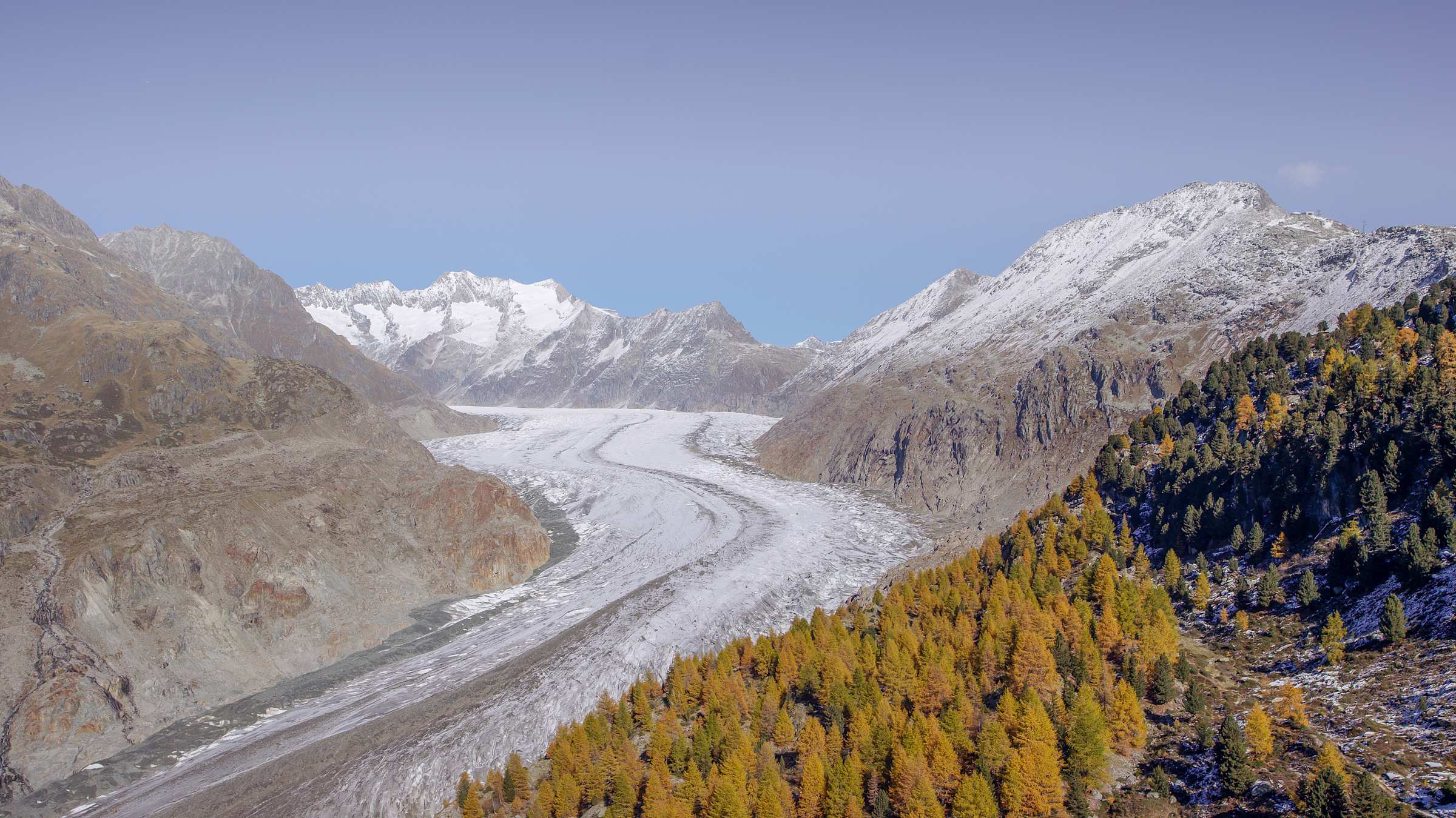 Forêt d'Aletsch, glacier inférieur