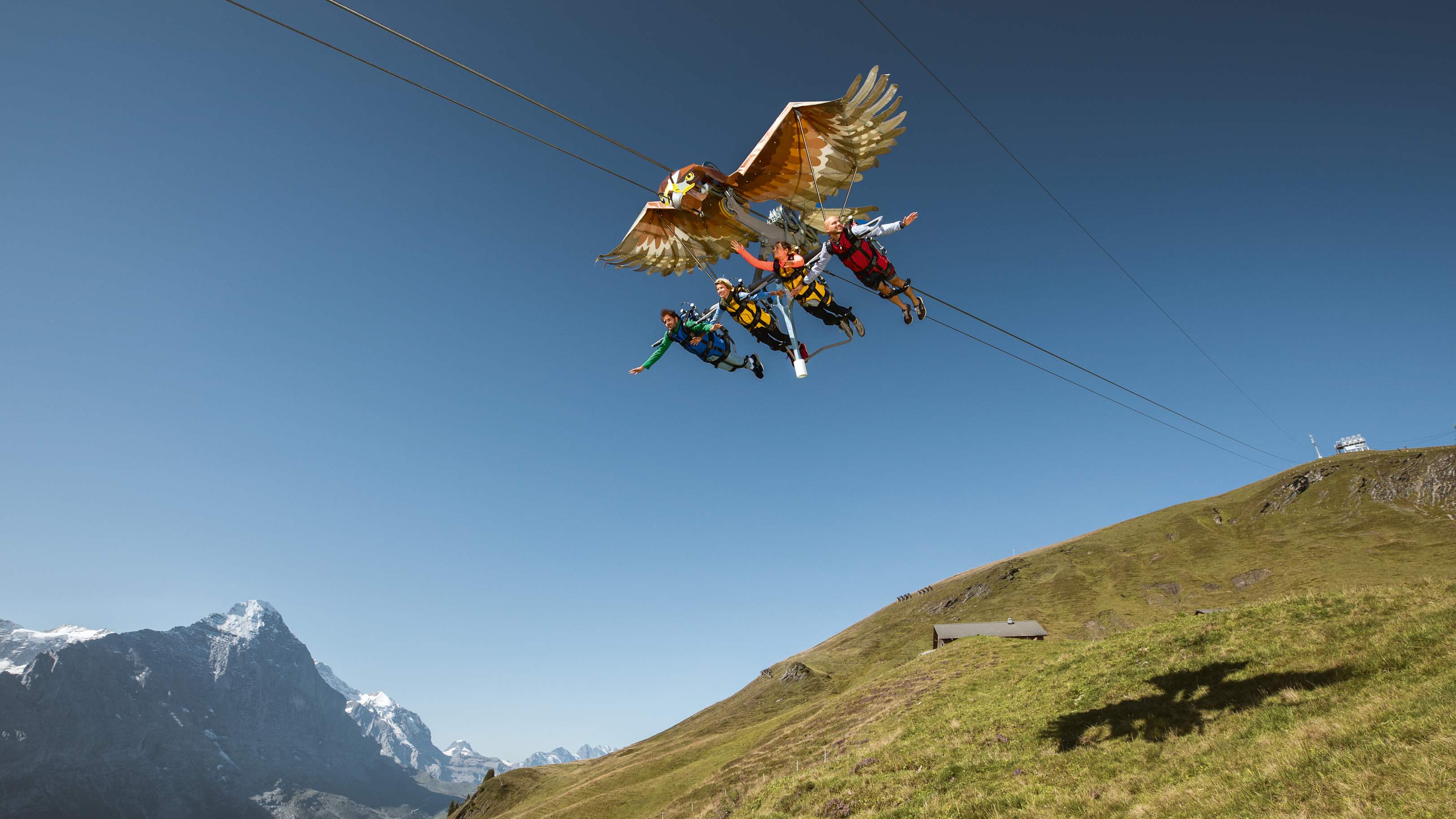 First-Glider, Grindelwald-First-Sommer, Sommer