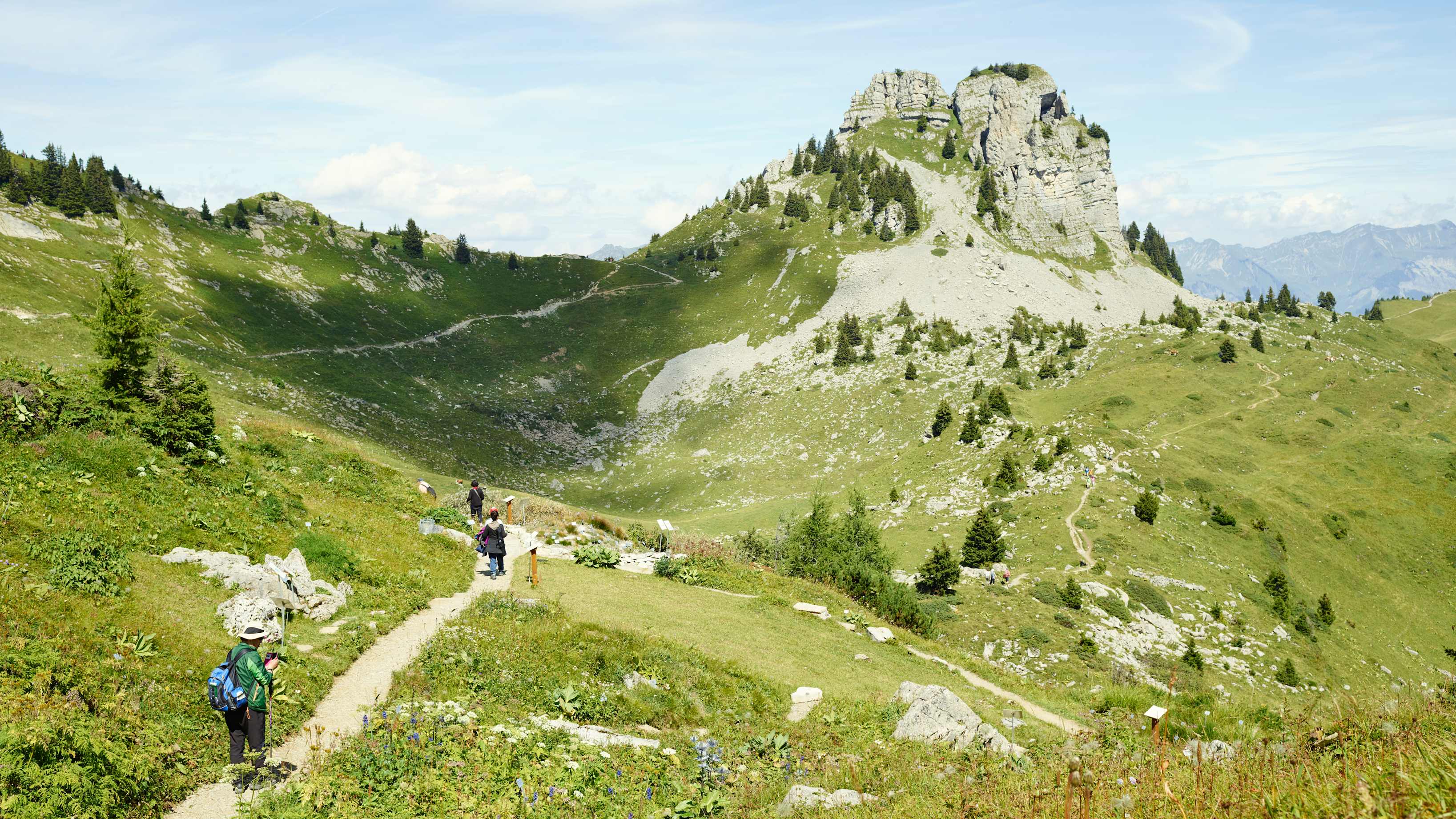 Schynige Platte Wandern Oberberghorn