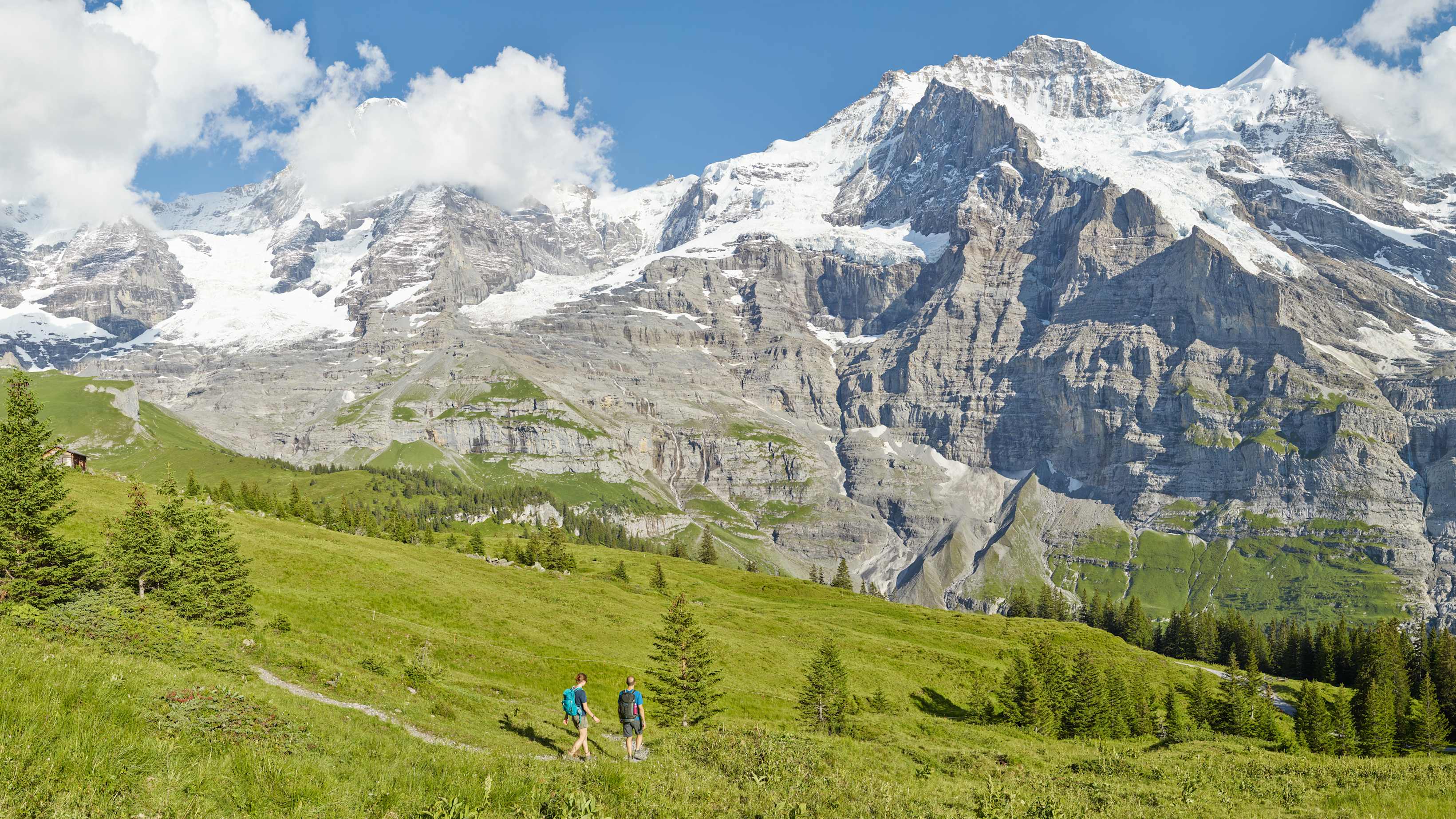 Kleine Scheidegg Wandern Lauberhorn Trail Panorama Sommer