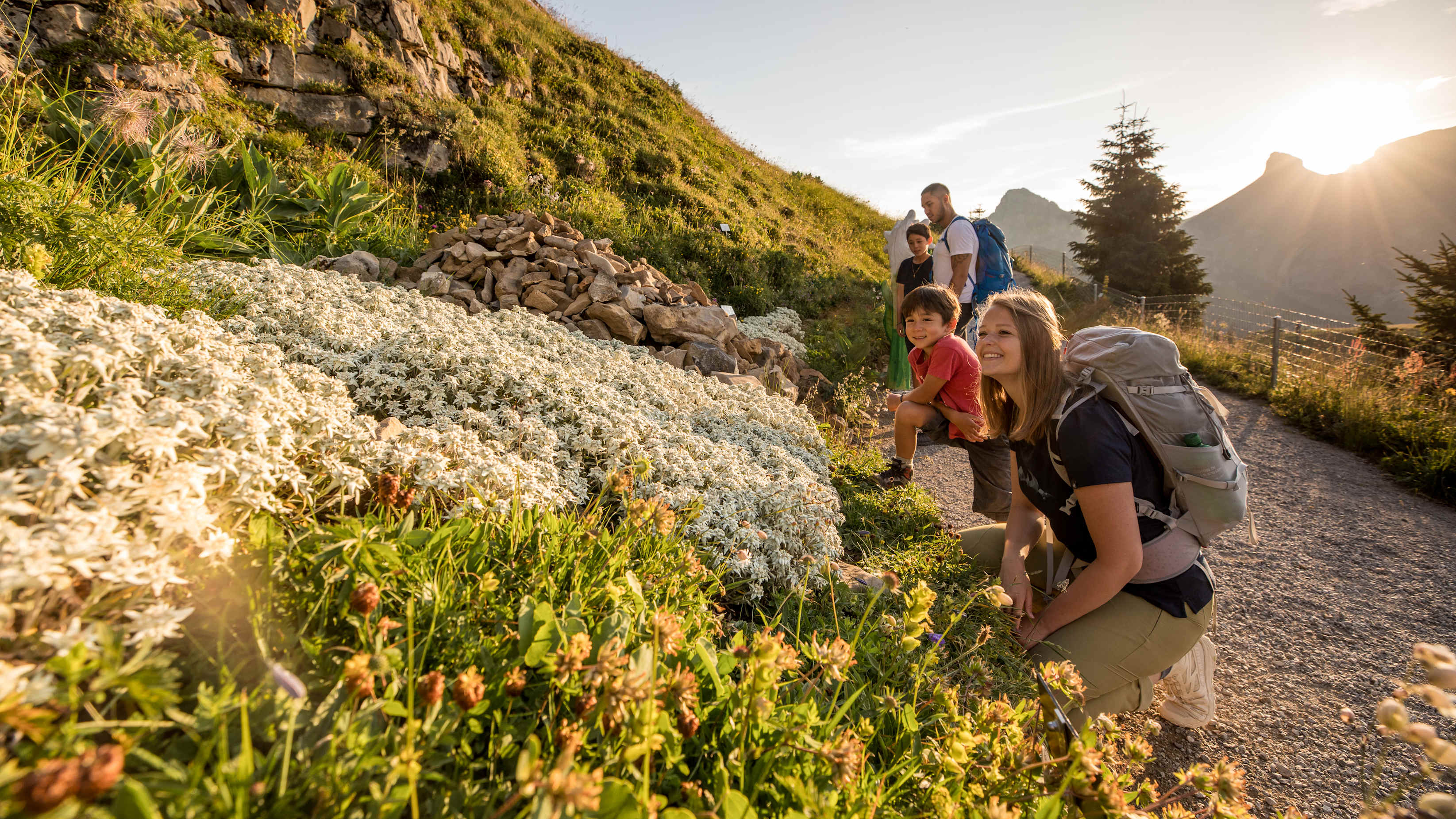 Berge, Eiger, Eiger-Mönch-Jungfrau, Erlebnisse-Aktivitaeten, Jungfrau, Mönch, Publikationen, Schynige-Platte, Screen-Content, Wandern, jungfrau.ch