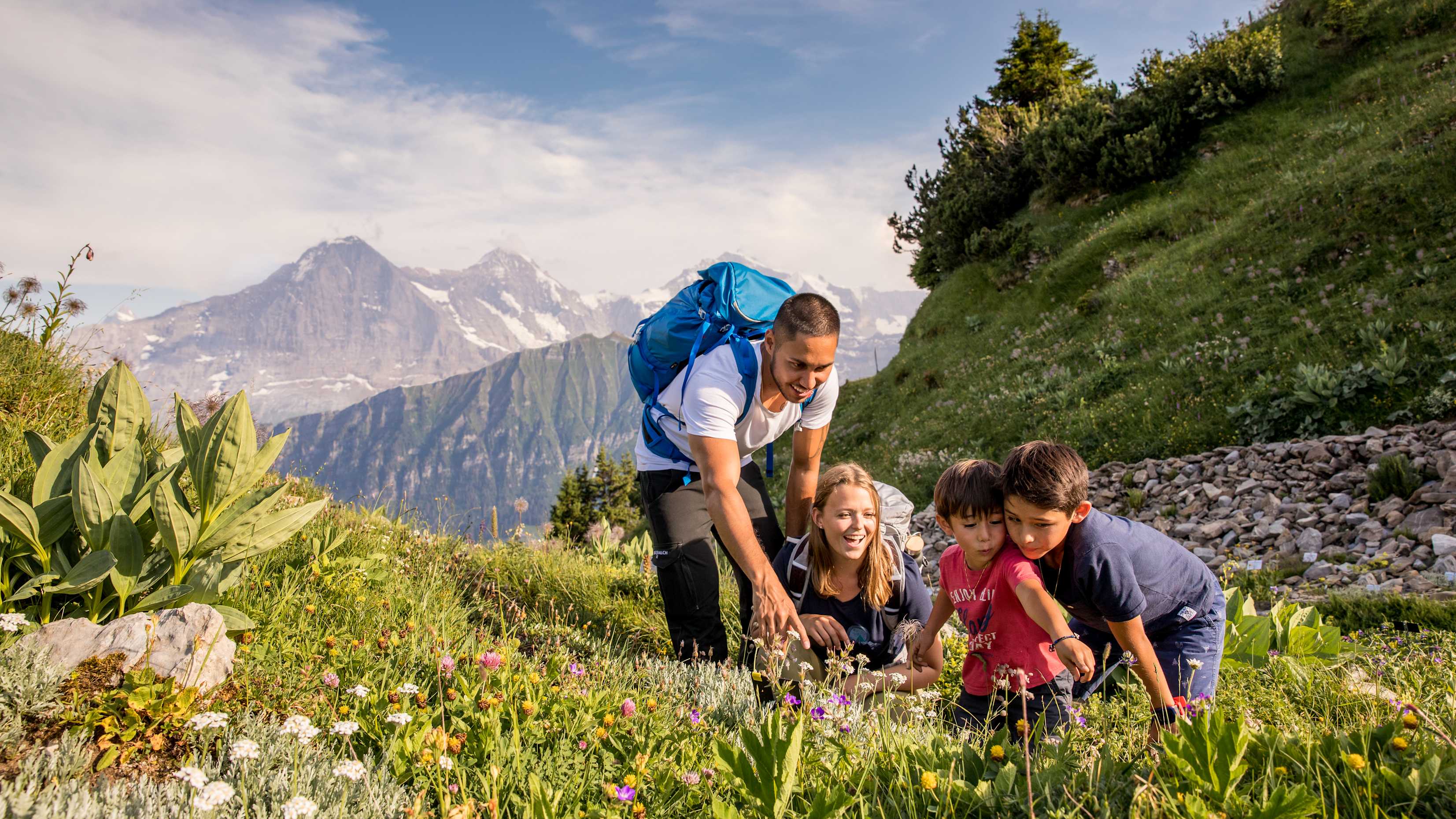 Publikationen, Schynige-Platte, Screen-Content, jungfrau.ch