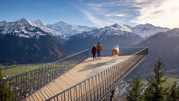 Harder Kulm Herbst Zwei Seen Steg Eiger Moensch Jungfrau Paar