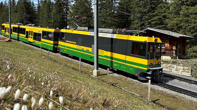 Wengen shuttle train