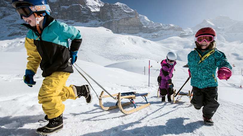 Grindelwald-Wengen sledging day ticket