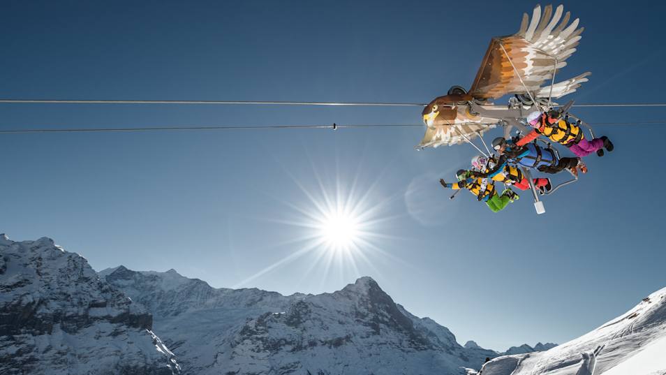 BernerOberland, Erlebnisse-Aktivitaeten, First-Glider, Jahreszeit, Schnee, Schweiz, Skigebiet-Grindelwald-First, Skiresorts, Switzerland, Winter, jungfrau.ch
