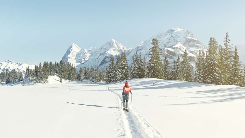 Schneeschuhpfad Muerren Panorama Eiger Moench Jungfrau