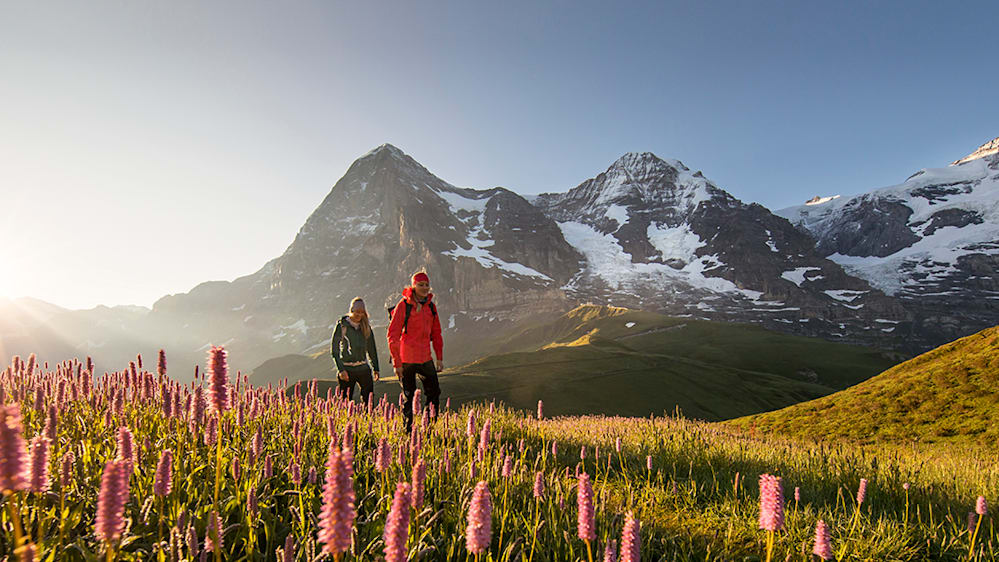 Kleine Scheidegg Wandern