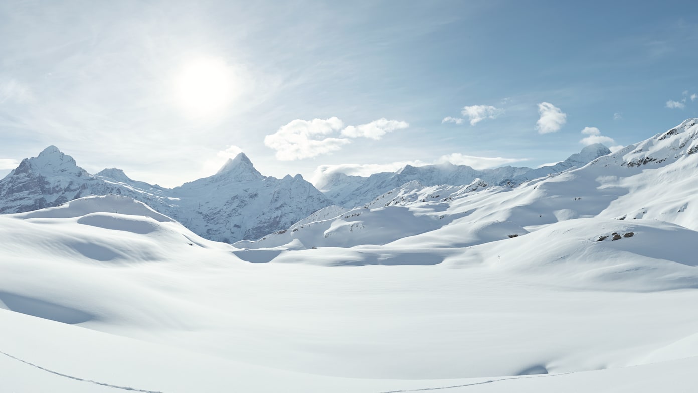 Grindelwald First Bachalpsee Schreckhorn Panorama Winter