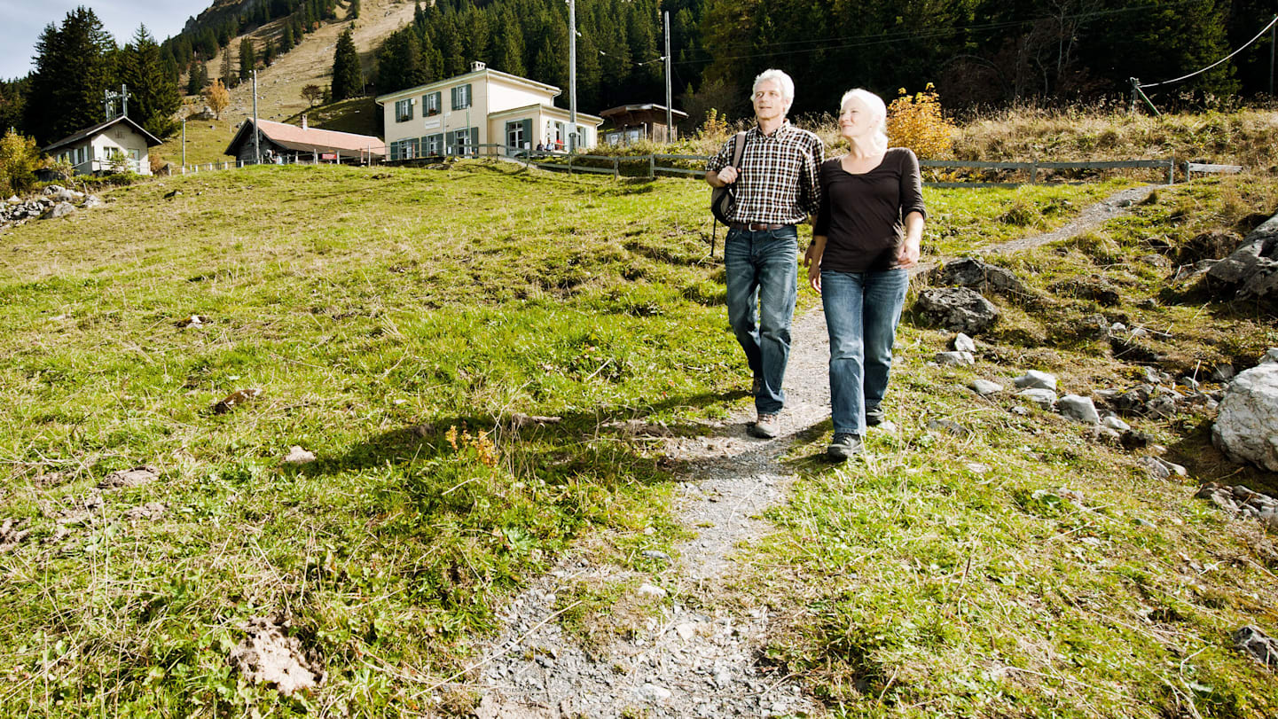 Wanderticket Breitlauenen Schynige Platte
