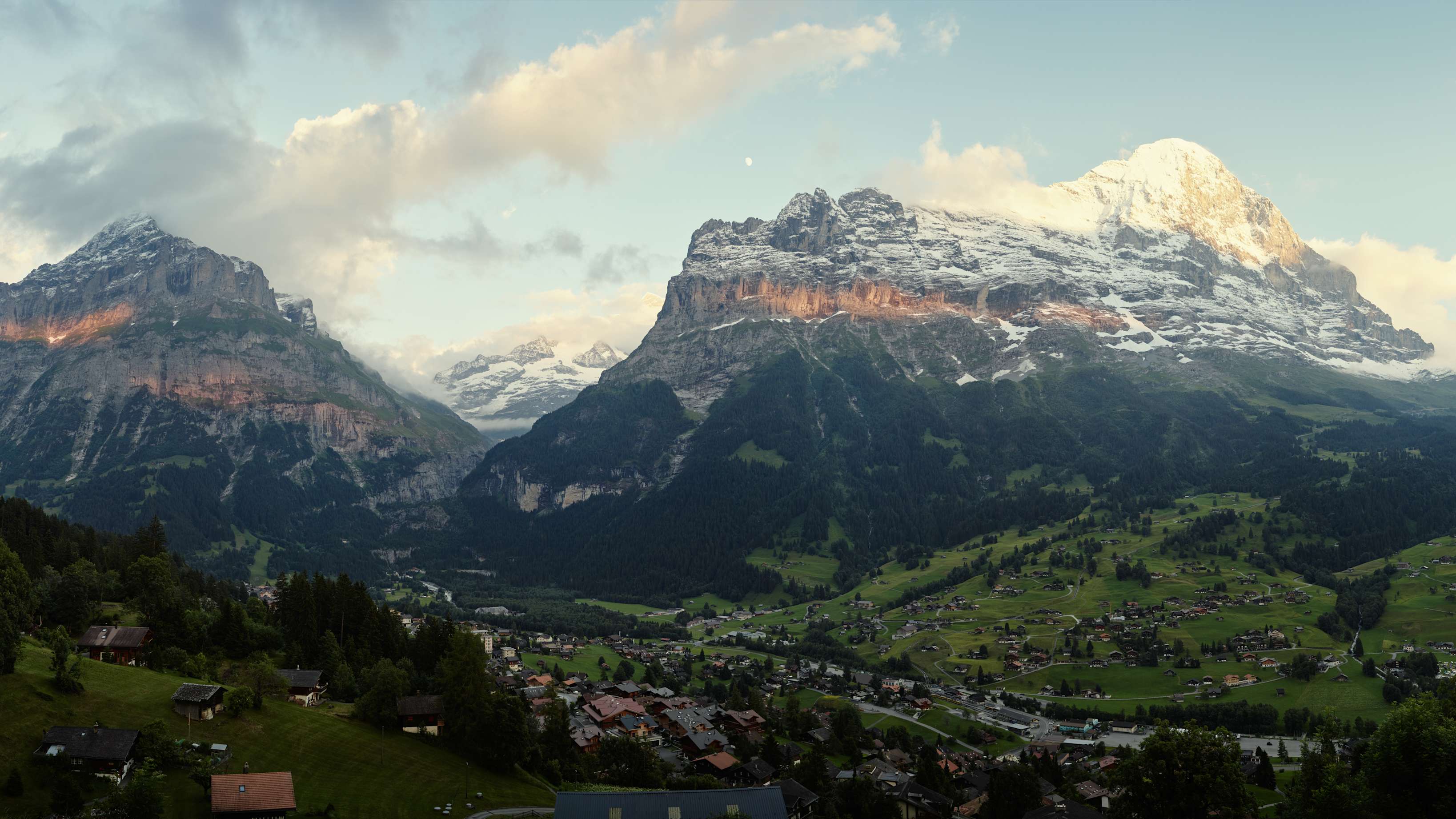 CF001084 Panorama