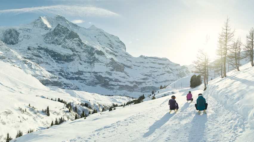Schlitteln Winter Berner Oberland