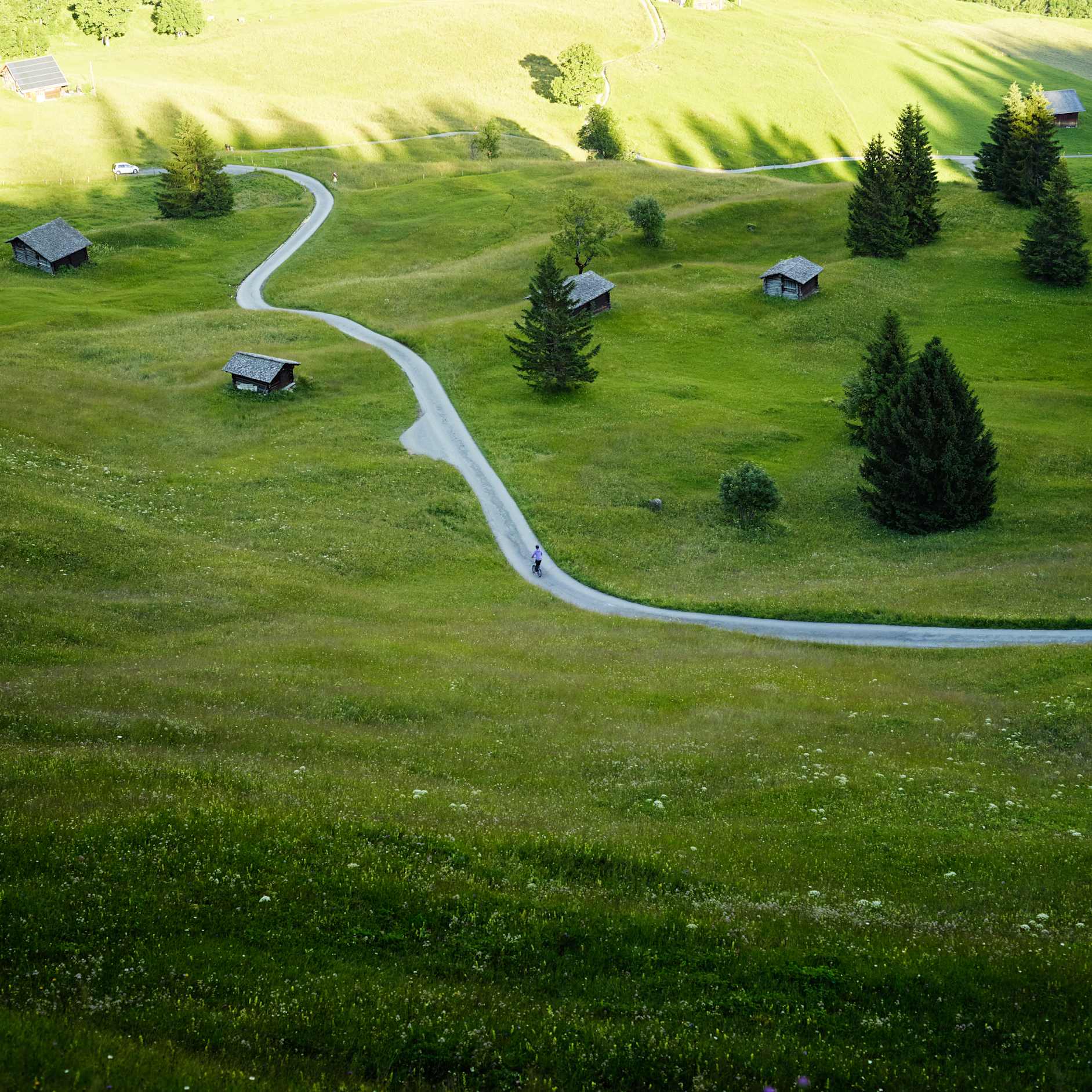 Trottibike Adventure Strecke Bort Grindelwald Sommer