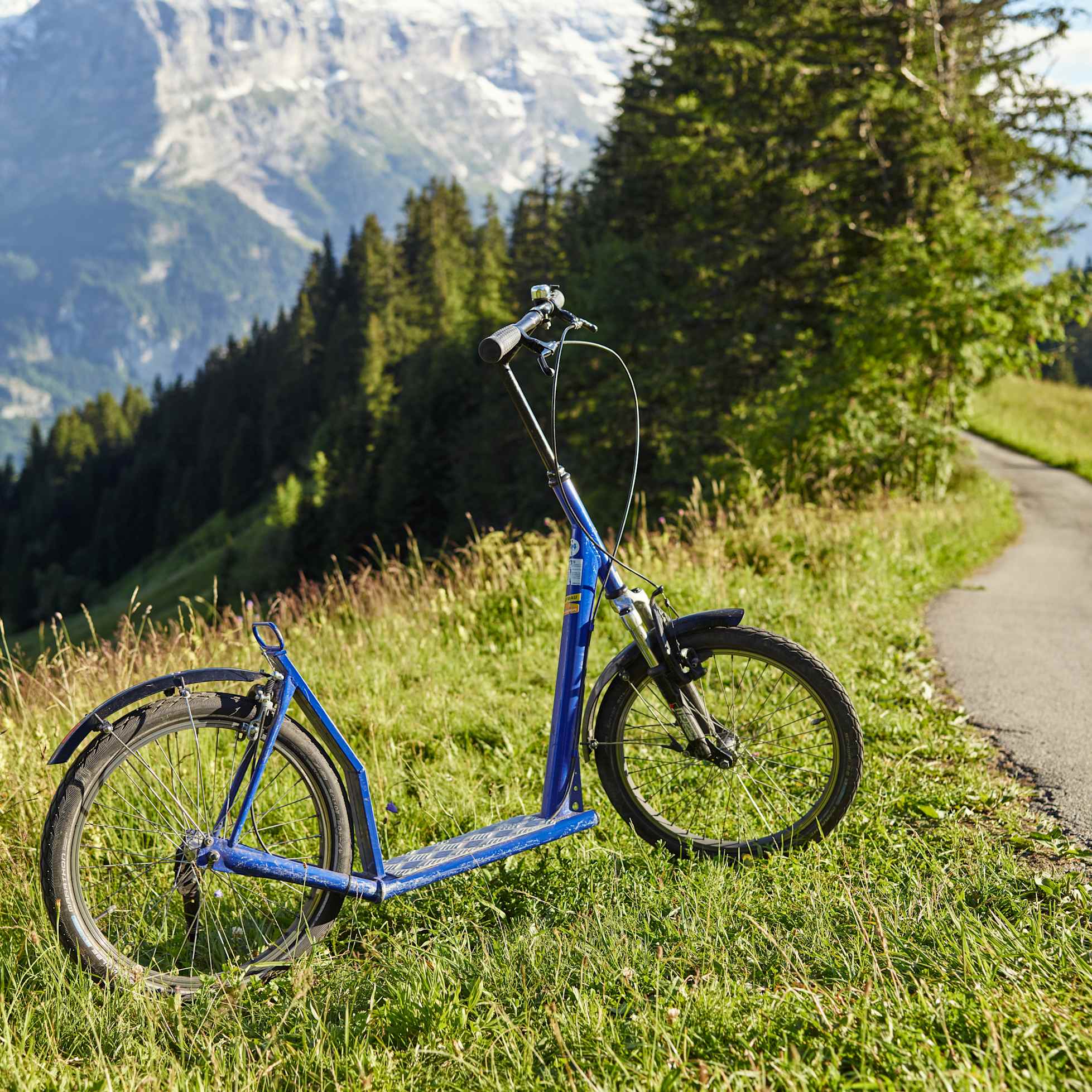 Grindelwald First Trottibike Weg Wiese Sommer