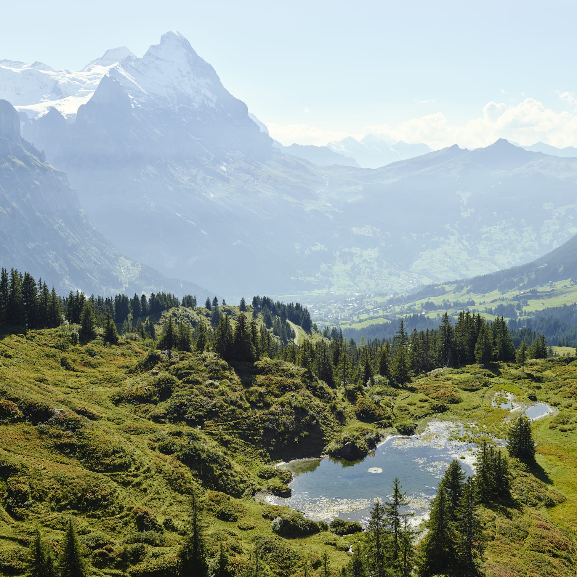 Antseeuwen Chlosterseeli Panorama Berner Oberland Sommer