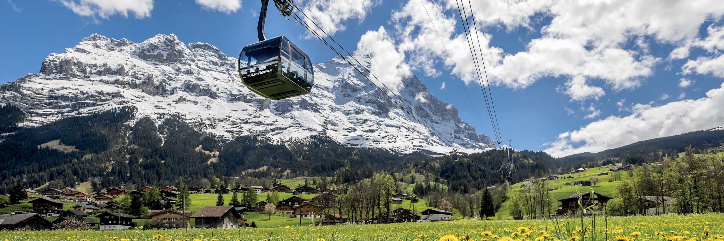 Eiger Express Eiger Sommer Blumenwiese 3 zu 1
