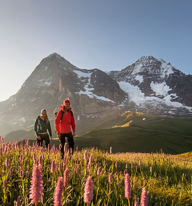Kleine Scheidegg
