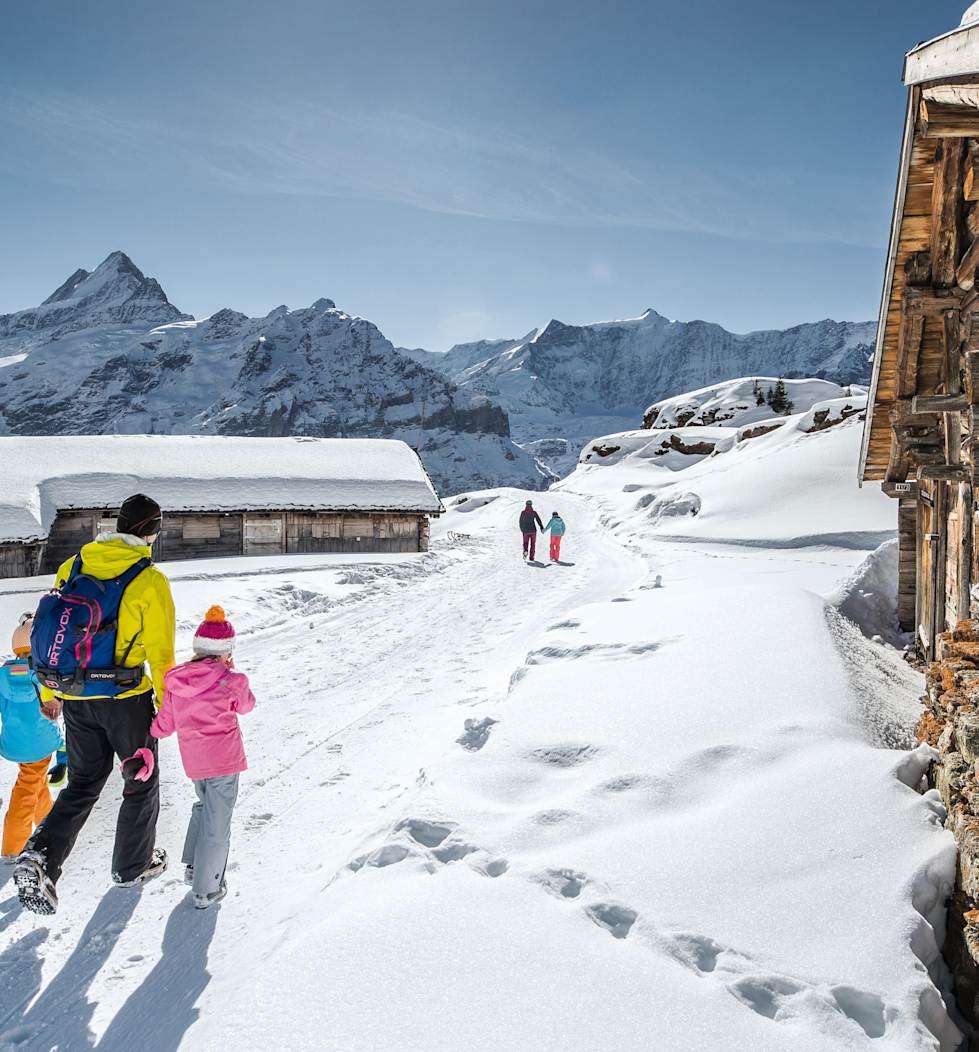 Hiking Sledging Pass Grindelwald Wengen