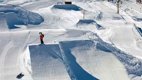 Shapers and their world