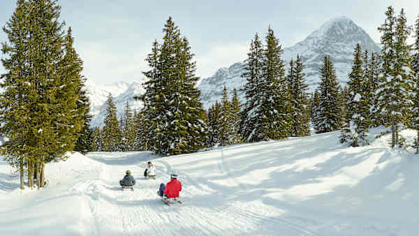 Ritas Speedway Männlichen - Holenstein