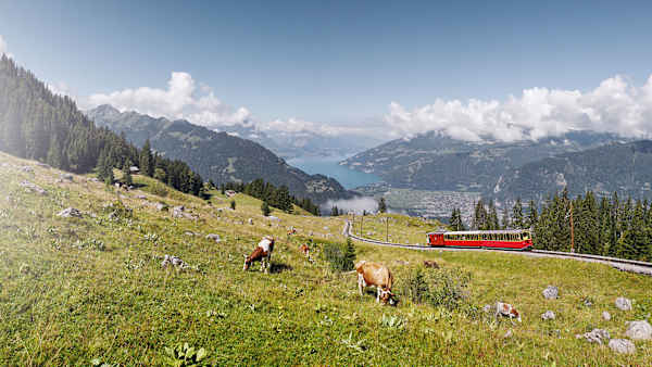 The Schynige Platte Railway opens one week later