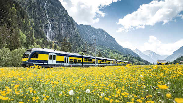 Bernese Oberland Railway (BOB) remains on the path to success   